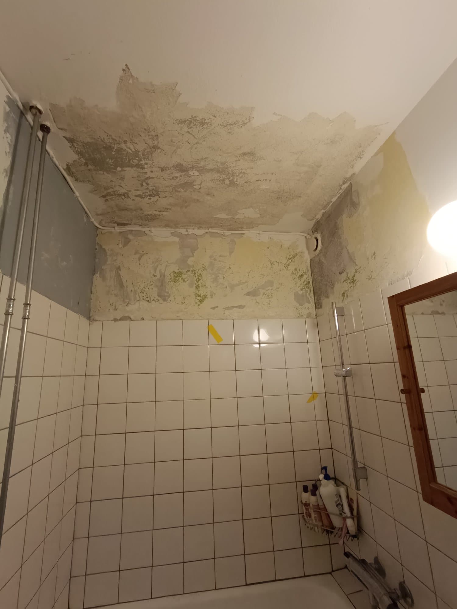 Badeværelsesloft med skimmel og afskallet maling